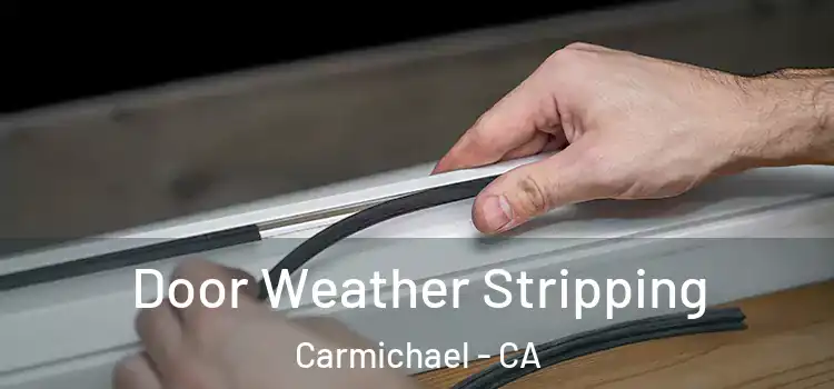 Door Weather Stripping Carmichael - CA