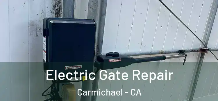 Electric Gate Repair Carmichael - CA