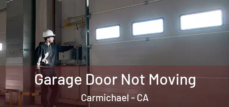  Garage Door Not Moving Carmichael - CA