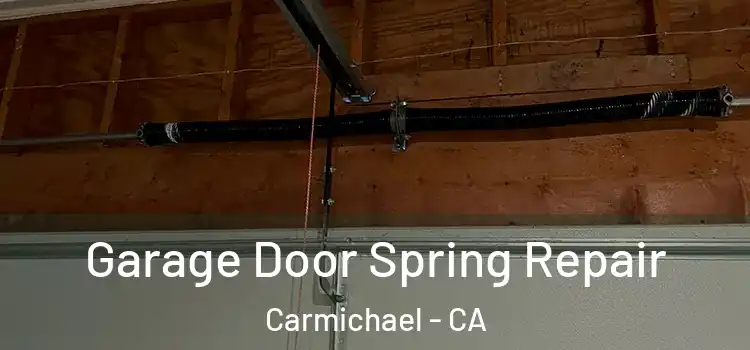  Garage Door Spring Repair Carmichael - CA