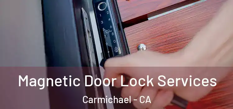 Magnetic Door Lock Services Carmichael - CA