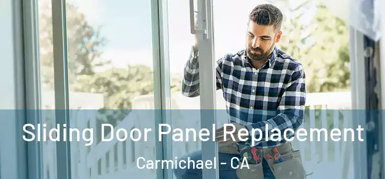  Sliding Door Panel Replacement Carmichael - CA